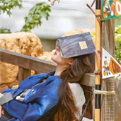 腌黄瓜先生:试播集